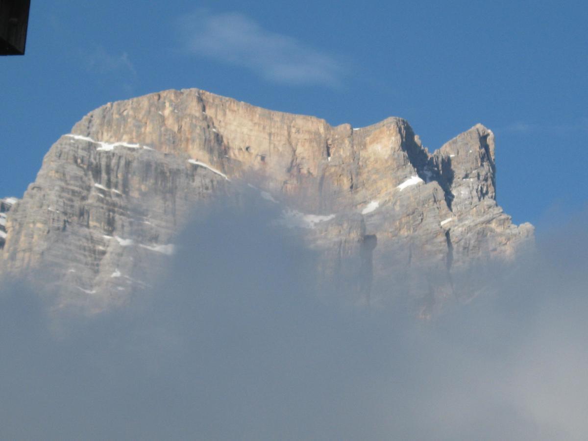 Hotel Albergo Dolomiti San Vito di Cadore Eksteriør billede