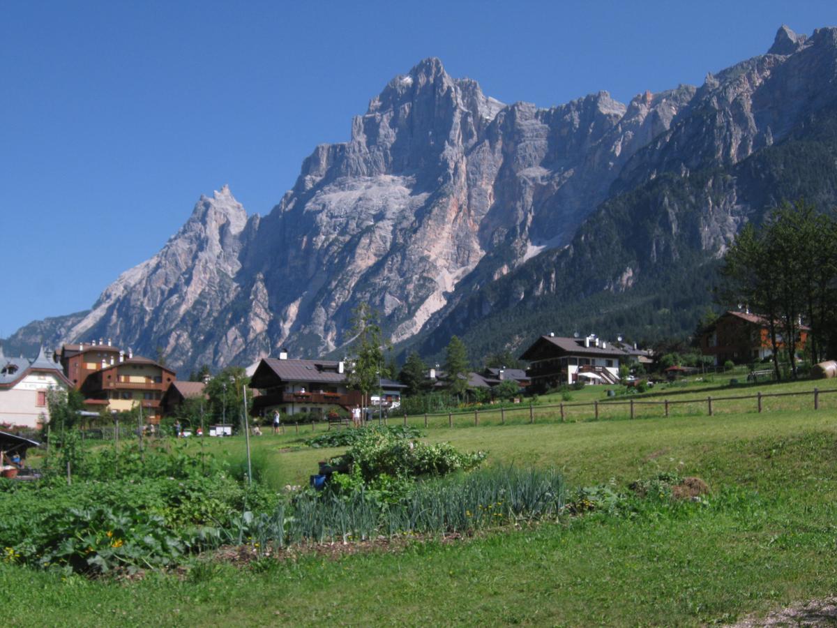 Hotel Albergo Dolomiti San Vito di Cadore Eksteriør billede