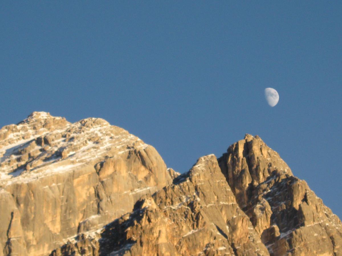 Hotel Albergo Dolomiti San Vito di Cadore Eksteriør billede